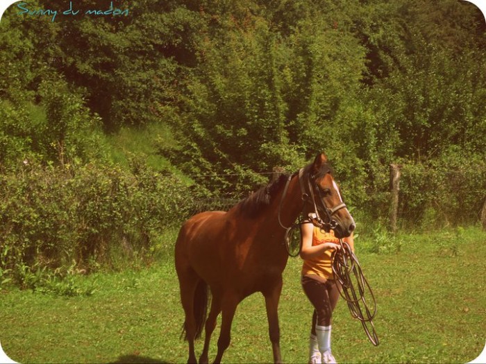 Photo de profil de speedysunny