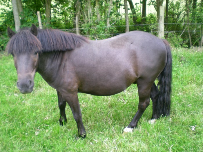 Photo de profil de chooly