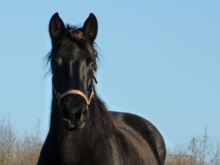 Photo de profil de manue37