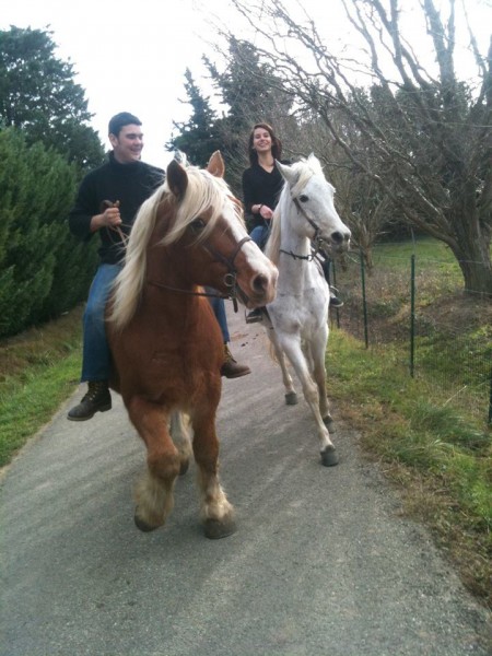 Photo de profil de violaine_84