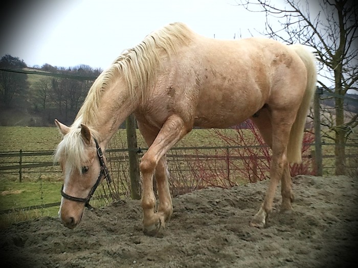 Photo de profil de sulan