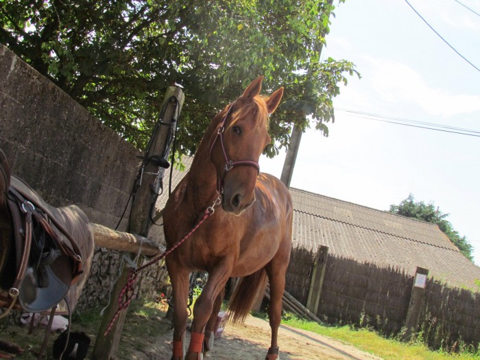 Photo de profil de isarine1996