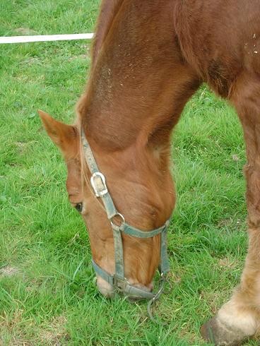 Photo de profil de dany35