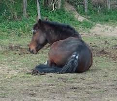 Photo de profil de ilun