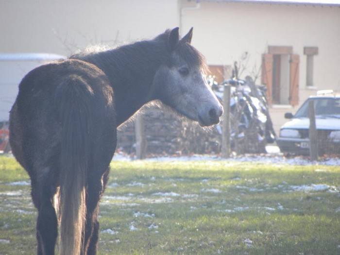 Photo de profil de sam1418