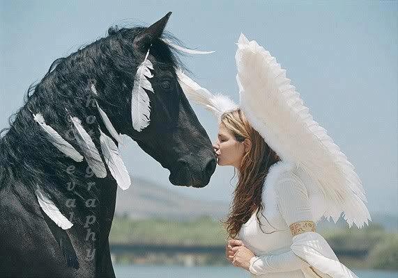 Photo de profil de marion7474