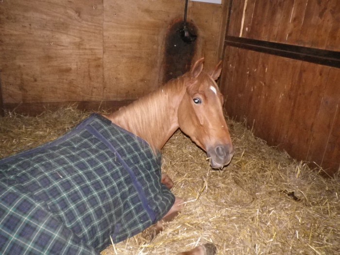 Photo de profil de becquart24