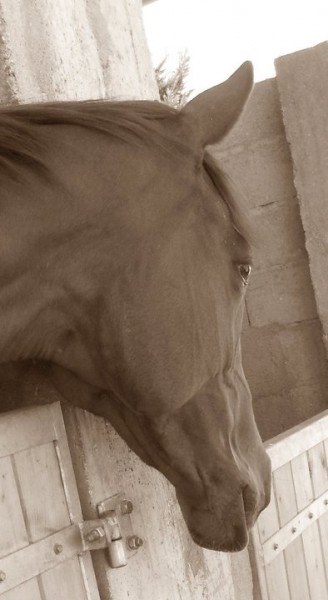 Photo de profil de kenzaa