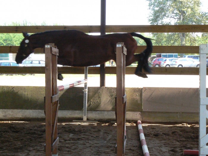 Photo de profil de braz