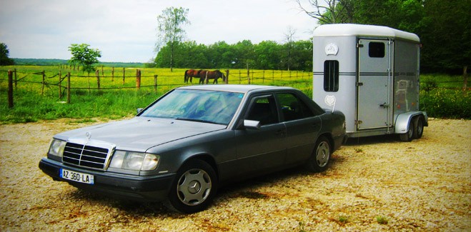 Photo de profil de horsenegoce