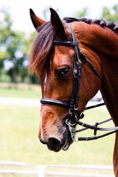 Photo de profil de snxxiii