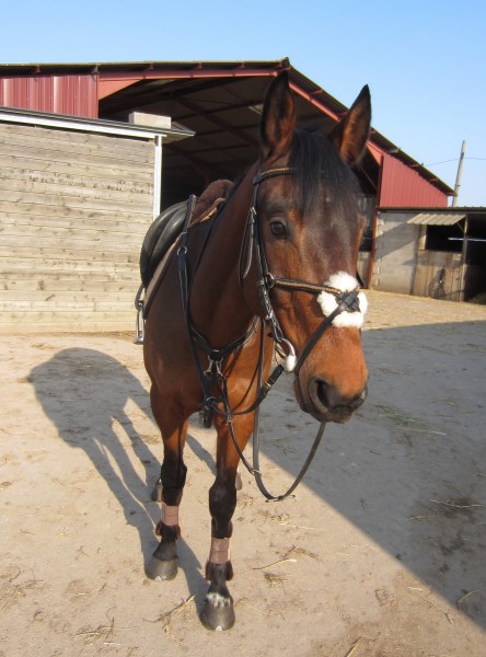 Photo de profil de coralie54000