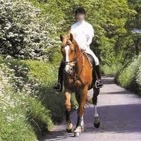 Photo de profil de adamuaziz1