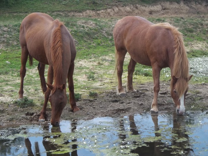 Photo de profil de babyllone