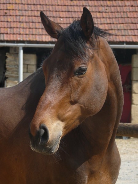 Photo de profil de jdl94