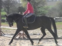 Photo de profil de emeline3