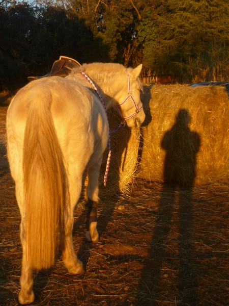 Photo de profil de fantasiajuju