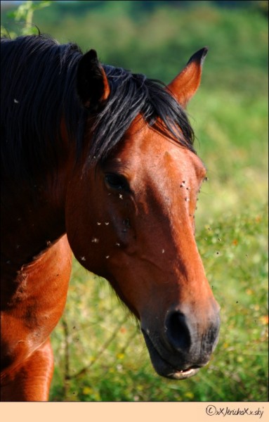 Photo de profil de amelie63