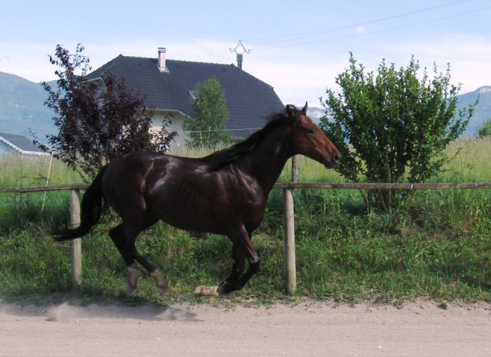 Photo de profil de julie52