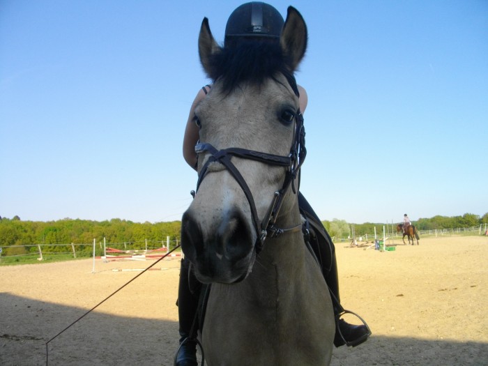 Photo de profil de meganep
