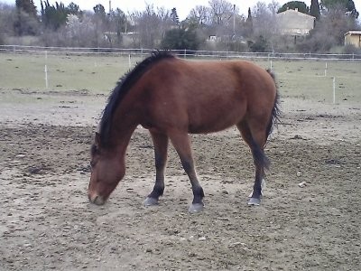 Photo de profil de chloe51