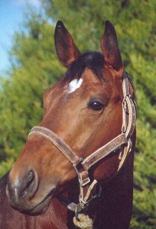 Photo de profil de luttin