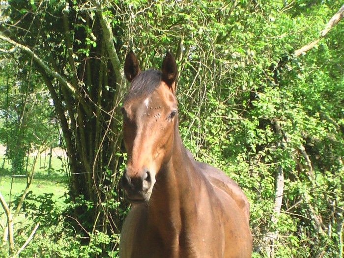 Photo de profil de pritty