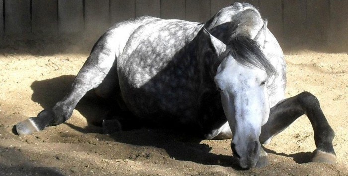 Photo de profil de quartomillenium