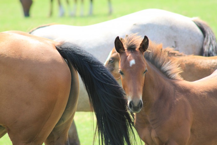 Photo de profil de soquette