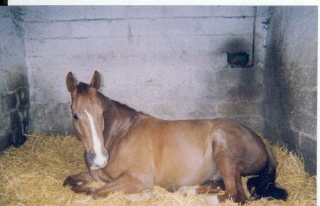 Photo de profil de humourduboijoli