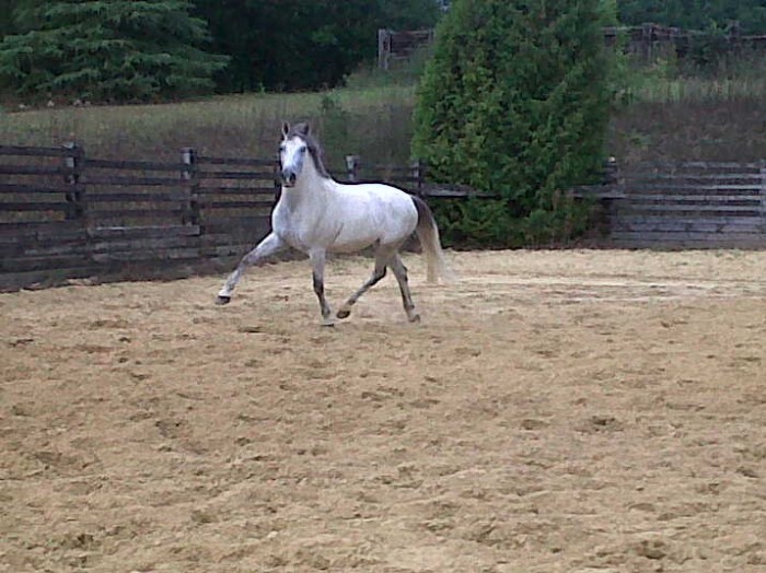 Photo de profil de caille78