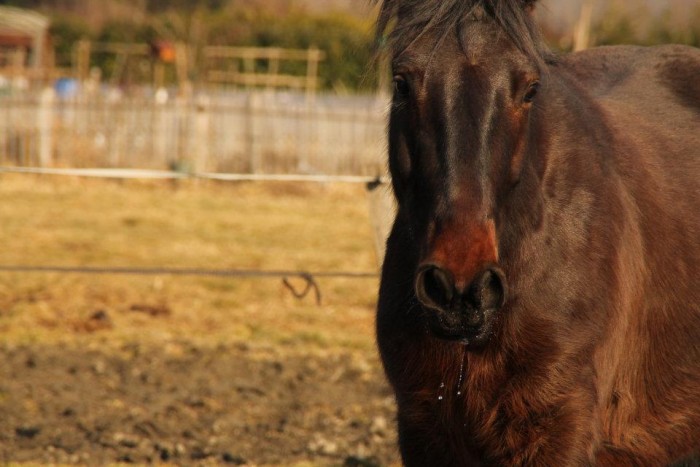 Photo de profil de tangodediane