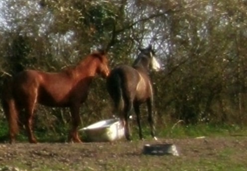 Photo de profil de startounet44
