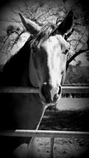 Photo de profil de bonanza85
