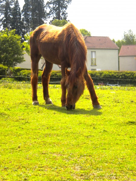Photo de profil de symphonie76