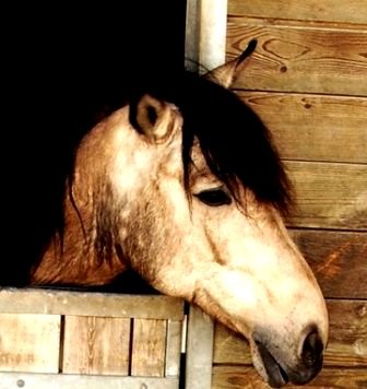 Photo de profil de degarenne