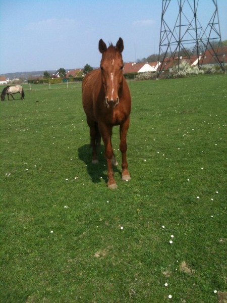 Photo de profil de dreyma