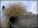 Photo de profil de mzelleloulou