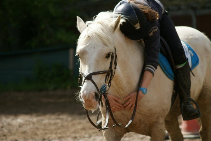 Photo de profil de mcap44