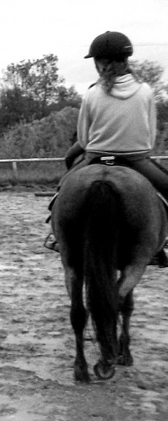 Photo de profil de ddegargant