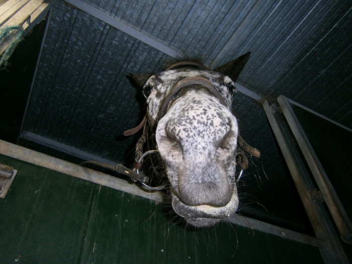 Photo de profil de habituedustleu