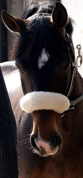 Photo de profil de jwatson