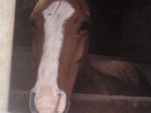 Photo de profil de cheyenne34