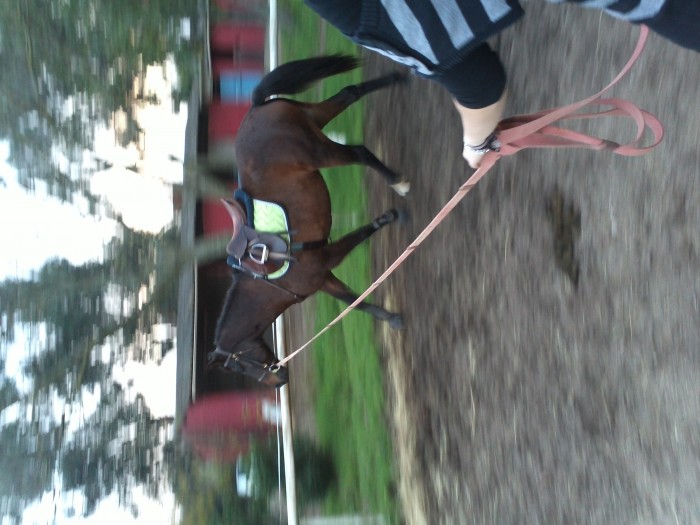 Photo de profil de omessalove
