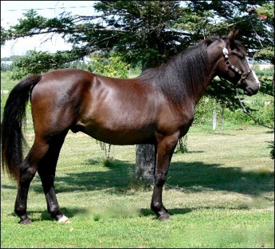 Photo de profil de laurenceleveque