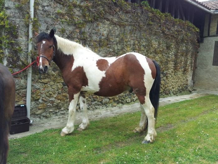 Photo de profil de miya