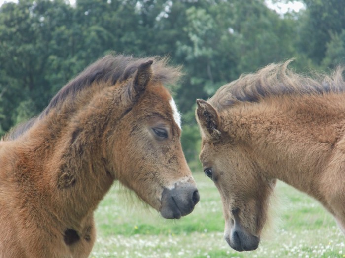 Photo de profil de bagherahdp