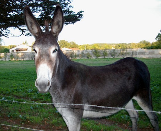 Photo de profil de in64