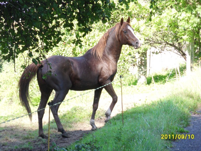 Photo de profil de fedaia