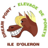 Photo de profil de dreampony